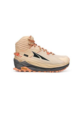 Brown Altra OLYMPUS 5 HIKE MID GTX Women's Outdoor | US_NF1359